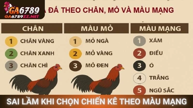 Sai lầm khi chọn chiến kê theo màu mạng