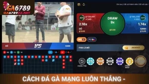 Cách Đá Gà Mạng Luôn Thắng