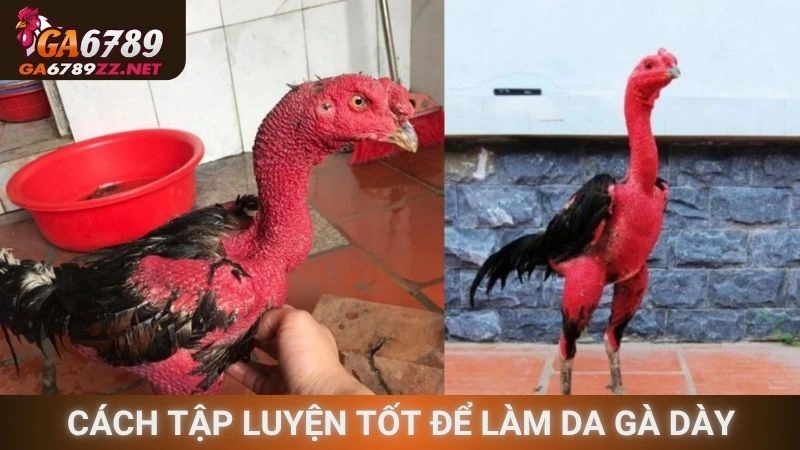 Cách tập luyện tốt để làm da gà dày