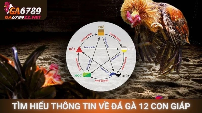 Tìm hiểu thông tin về đá gà 12 con giáp