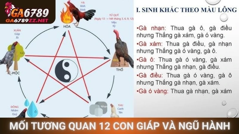 Mối tương quan giữa 12 con giáp và ngũ hành