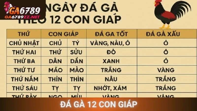 Đá Gà 12 Con Giáp