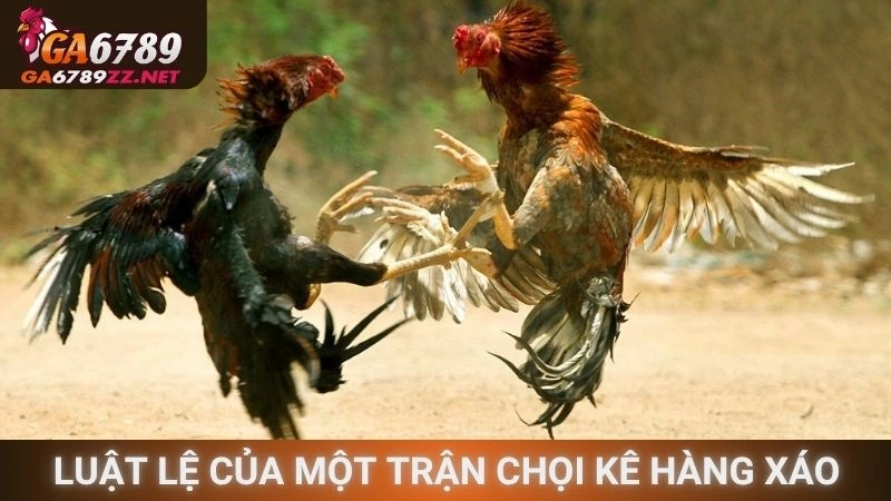 Luật lệ của một trận chọi kê hàng xáo