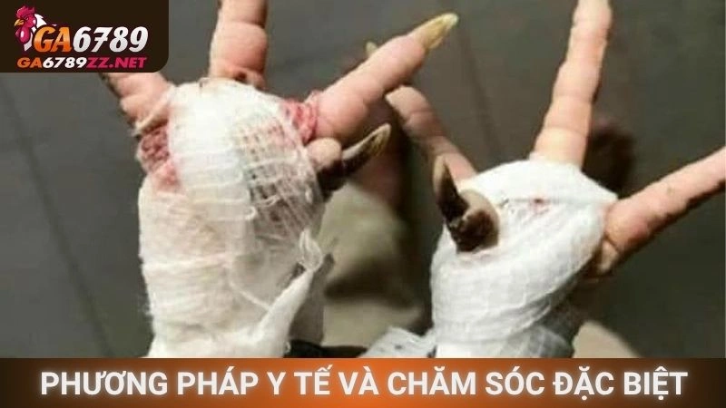 Phương pháp y tế và chăm sóc đặc biệt