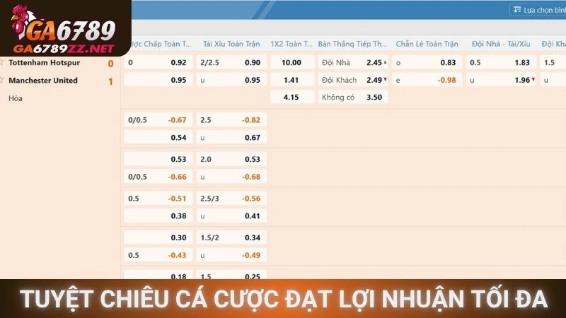 Tuyệt chiêu cá cược đạt lợi nhuận tối đa