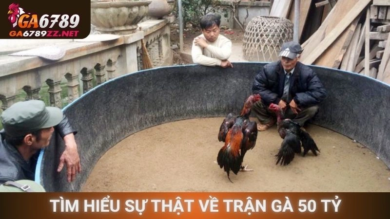Tìm hiểu sự thật về trận gà 50 tỷ