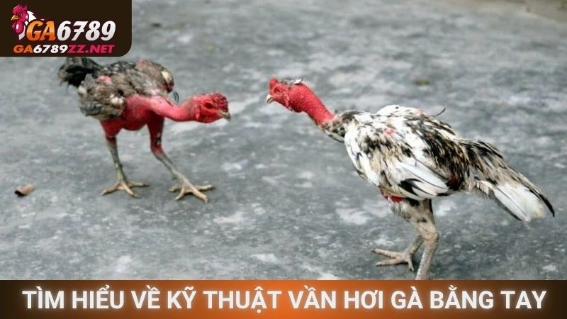 Tìm hiểu về kỹ thuật vần hơi gà bằng tay