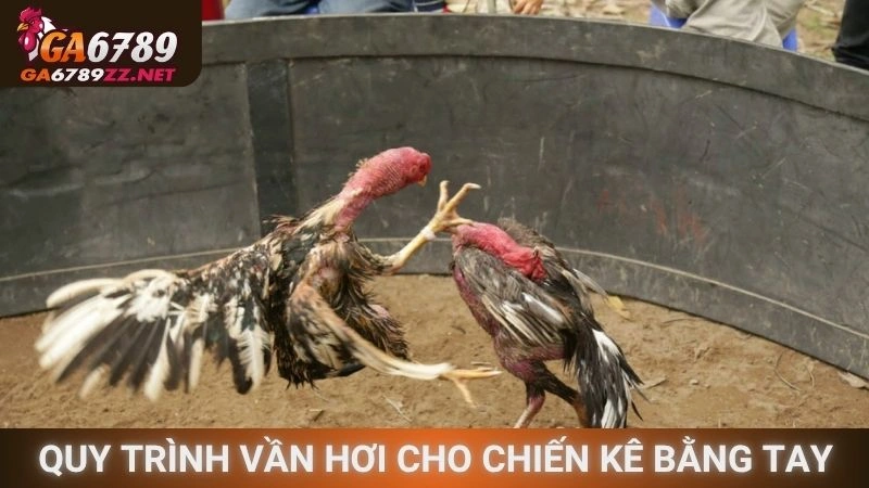 Quy trình vần hơi cho chiến kê bằng tay