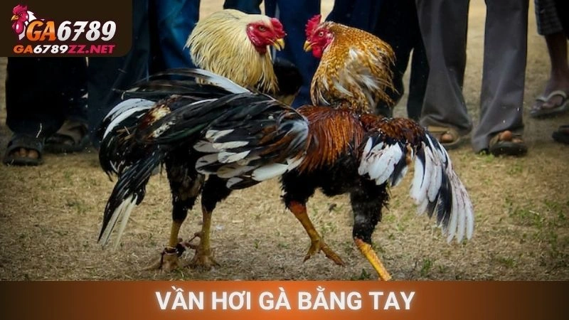 Vần Hơi Gà Bằng Tay