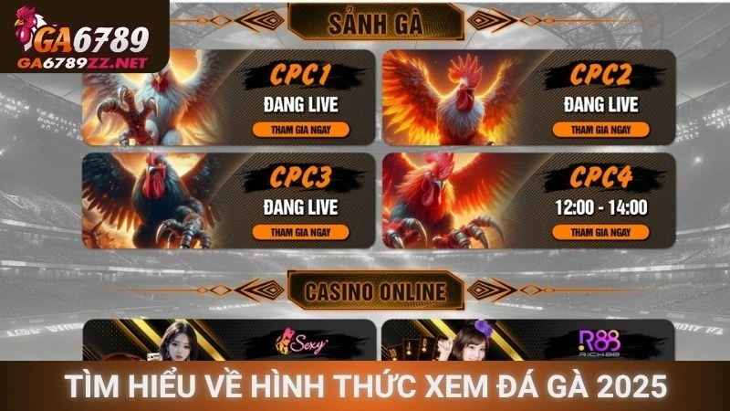 Tìm hiểu về hình thức xem đá gà 2025