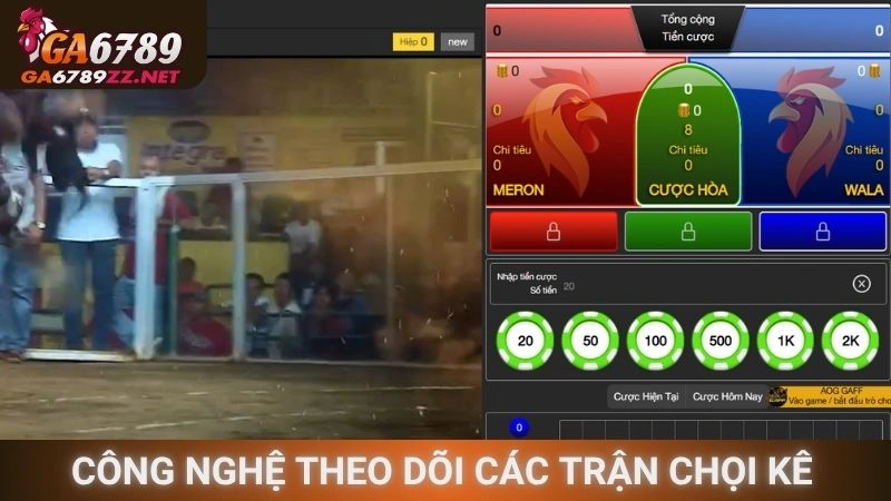 Công nghệ theo dõi các trận chọi kê năm 2025