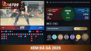 Xem Đá Gà 2025